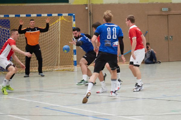 RPS-Oberliga, TVB, Dachse, Nur der TVB, Saison 17/18